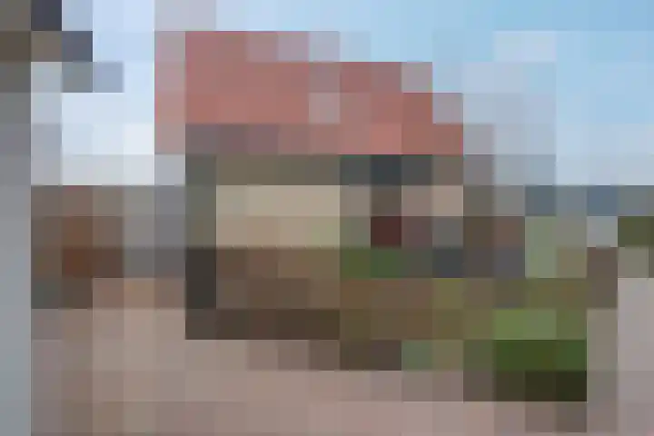 van Nahuysweg 35 Hasselt thumbnail 40