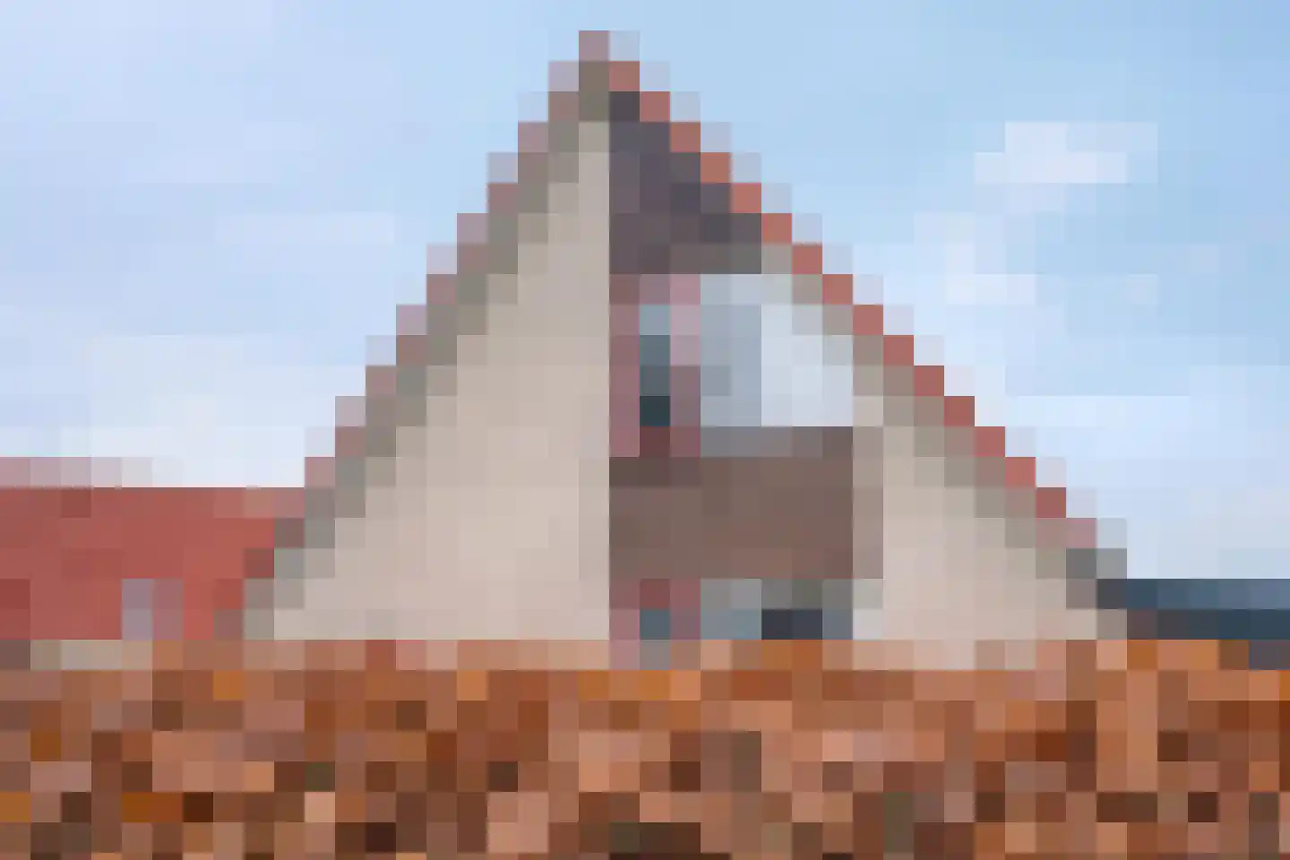 van Nahuysweg 35 Hasselt thumbnail 5
