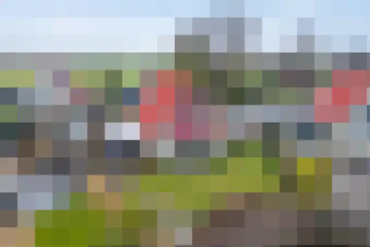 van Nahuysweg 35 Hasselt thumbnail 52