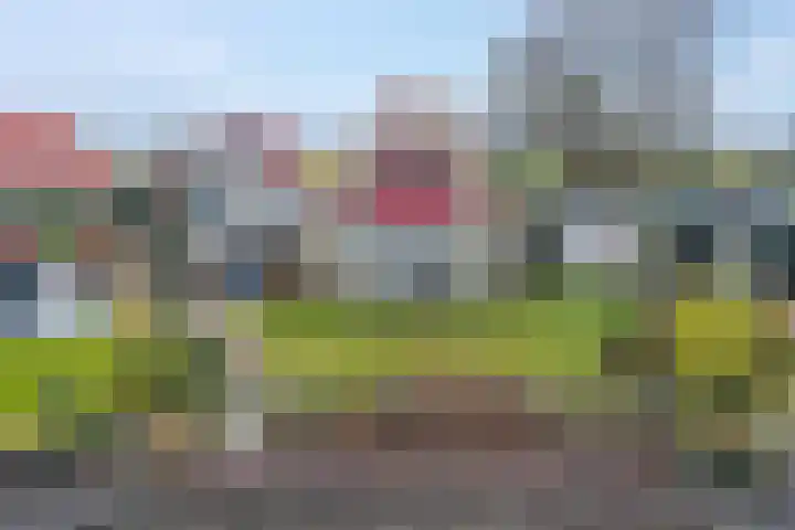 van Nahuysweg 35 Hasselt thumbnail 53