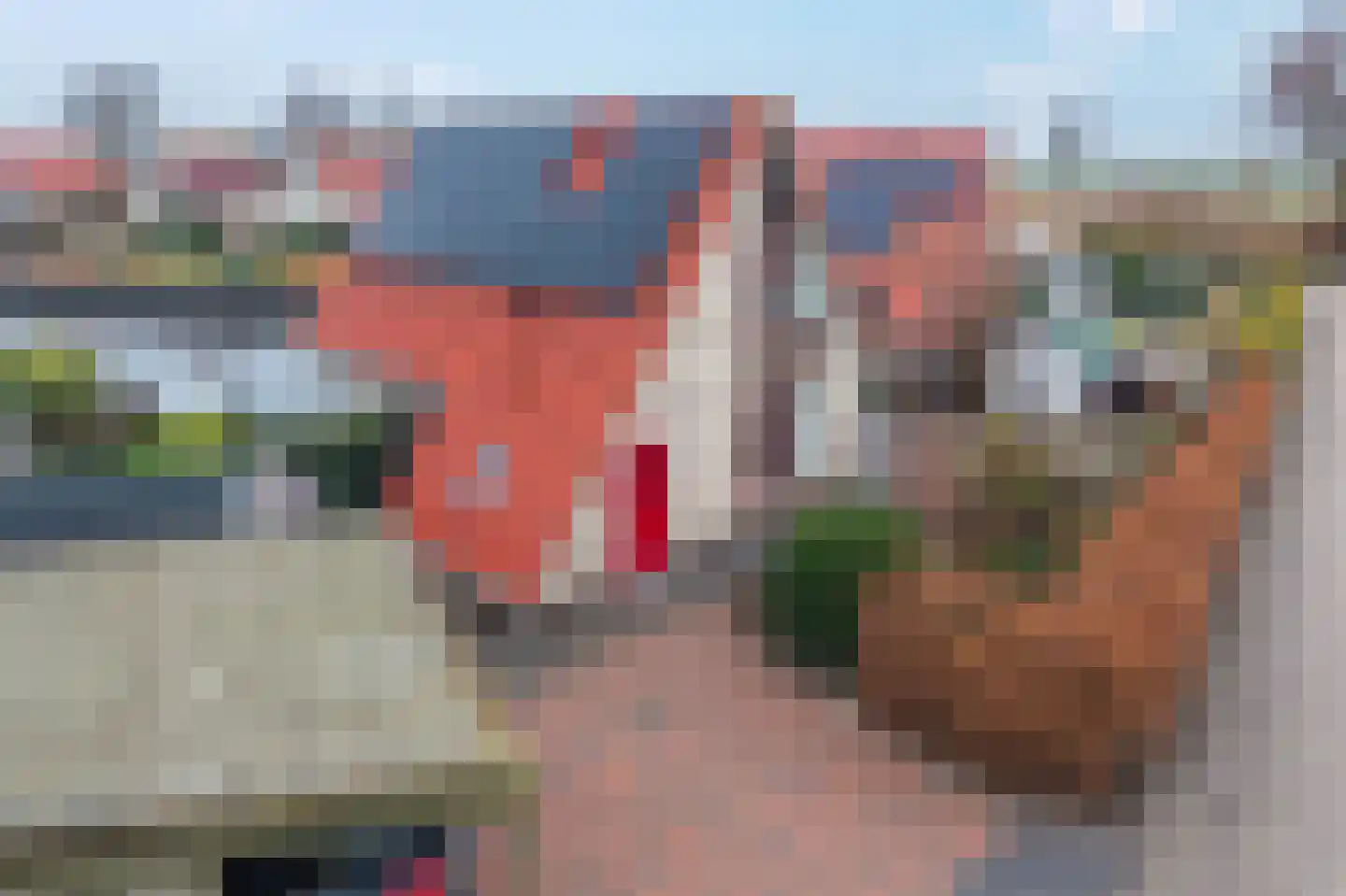 van Nahuysweg 35 Hasselt thumbnail 55