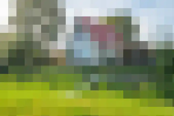 van Nahuysweg 67 Hasselt thumbnail 30