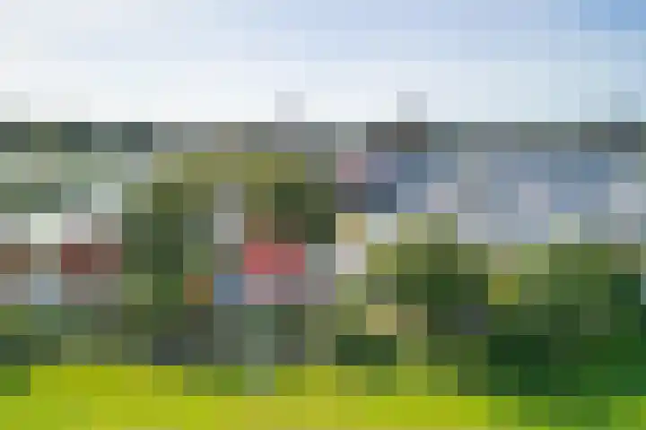 van Nahuysweg 67 Hasselt thumbnail 43