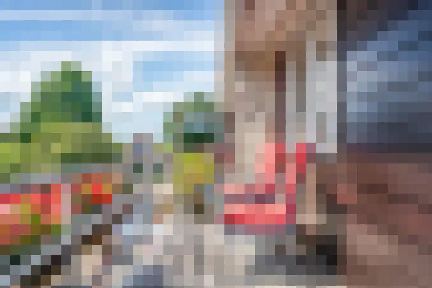 van Nahuysweg 85 Hasselt thumbnail 16