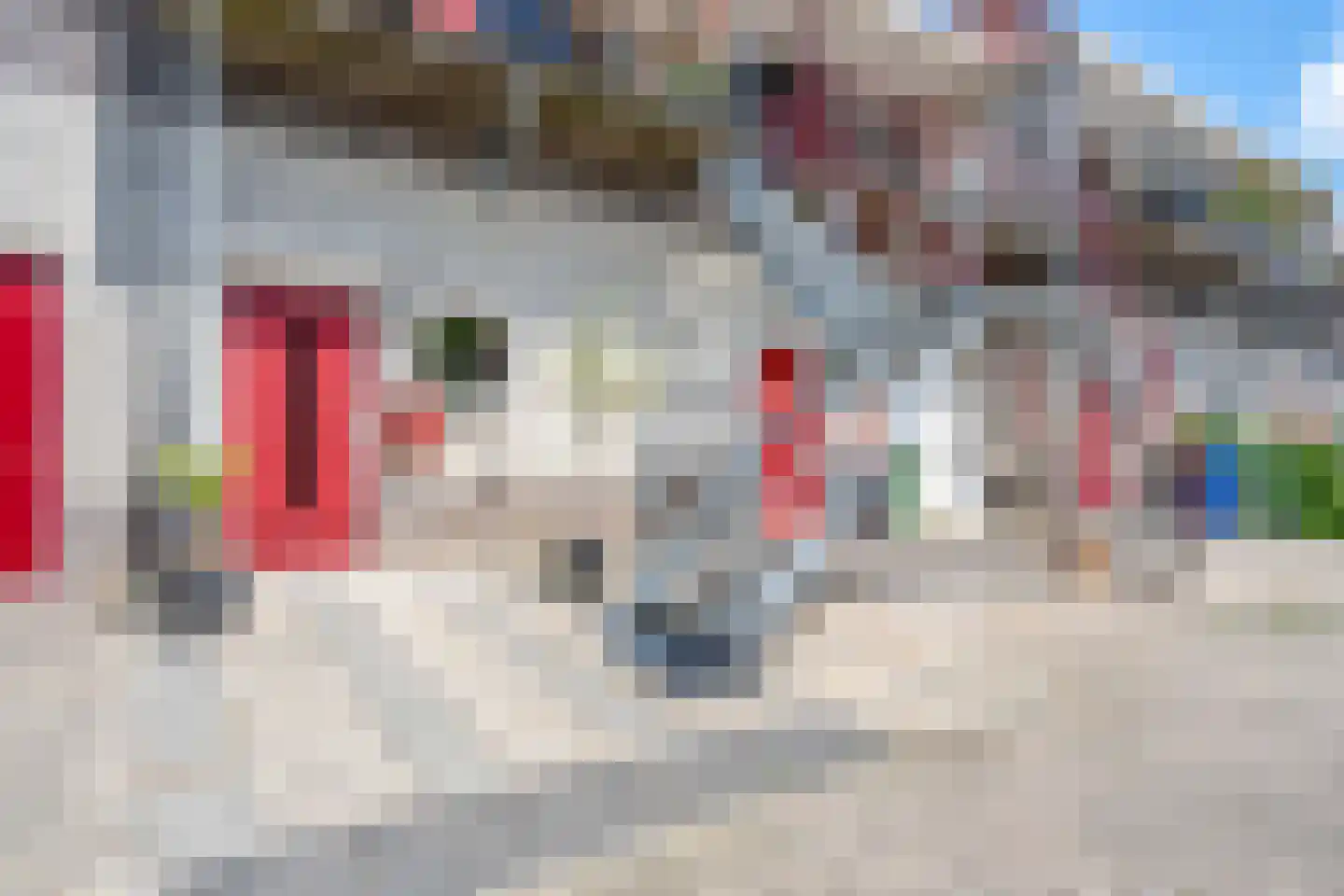 van Nahuysweg 85 Hasselt thumbnail 6