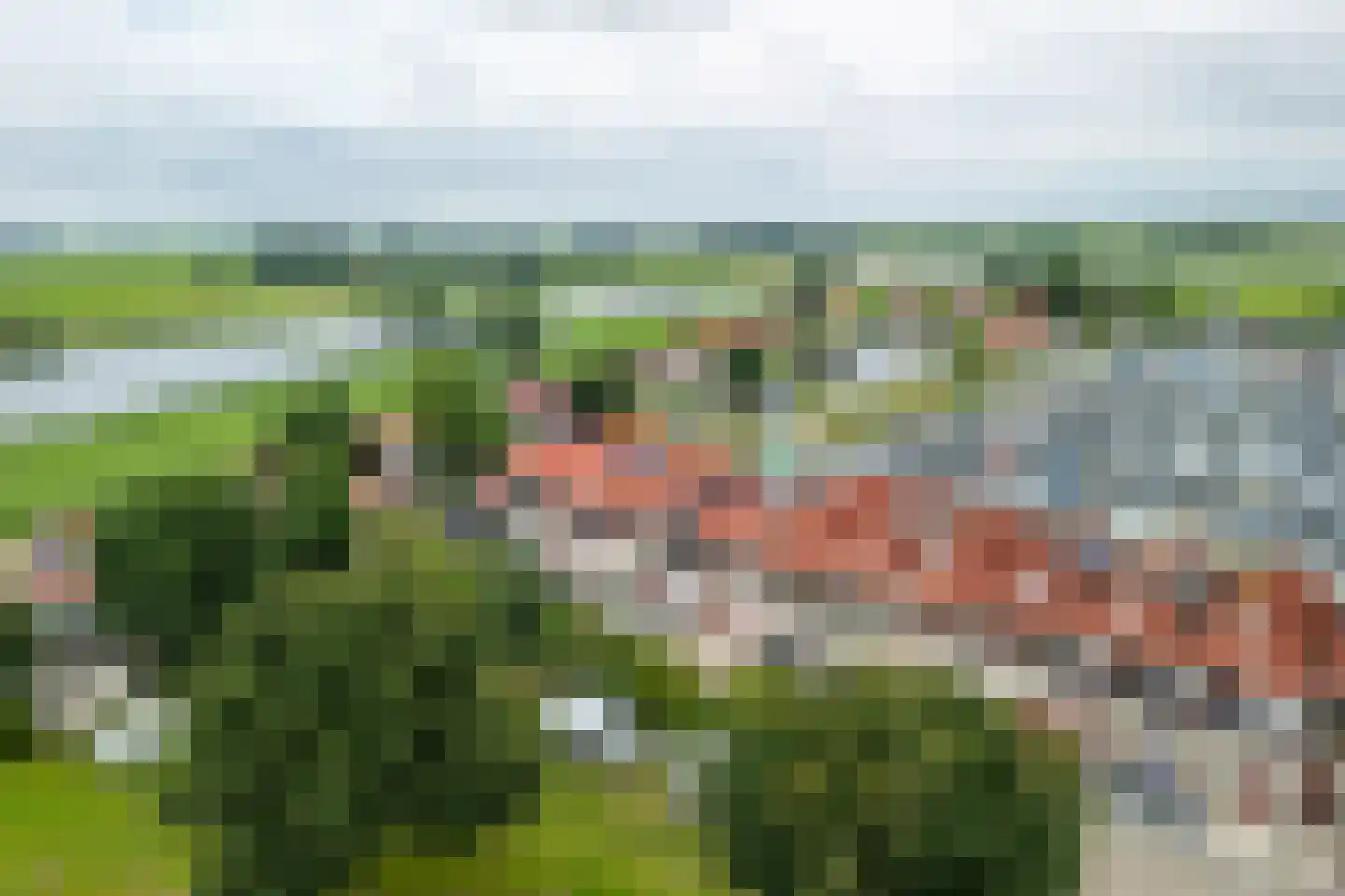 van Nahuysweg 87 Hasselt thumbnail 50