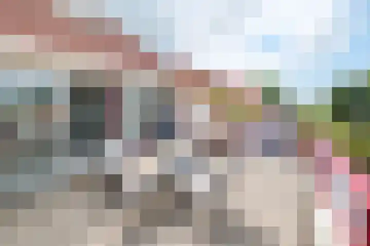 van Nahuysweg 89 Hasselt thumbnail 31