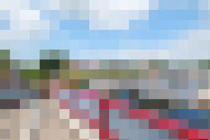 van Nahuysweg 89 Hasselt thumbnail 32
