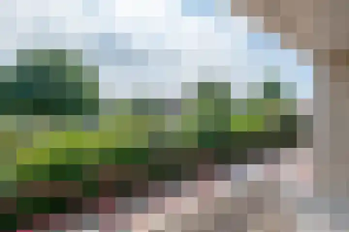 van Nahuysweg 89 Hasselt thumbnail 37