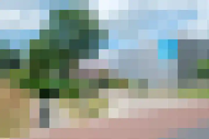 van Nahuysweg 89 Hasselt thumbnail 38