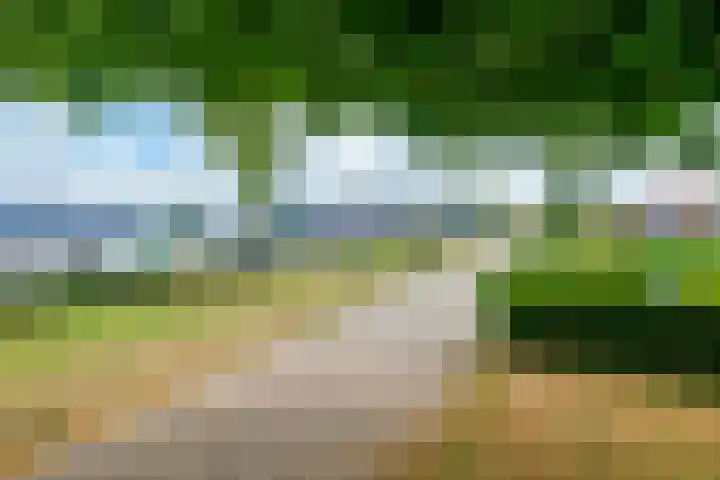 van Nahuysweg 89 Hasselt thumbnail 41