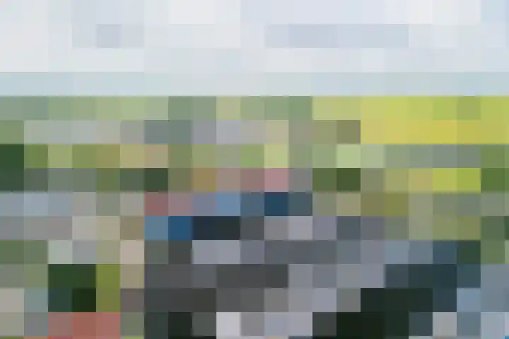 van Nahuysweg 89 Hasselt thumbnail 45