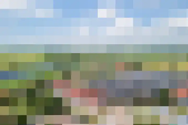 van Nahuysweg 89 Hasselt thumbnail 46