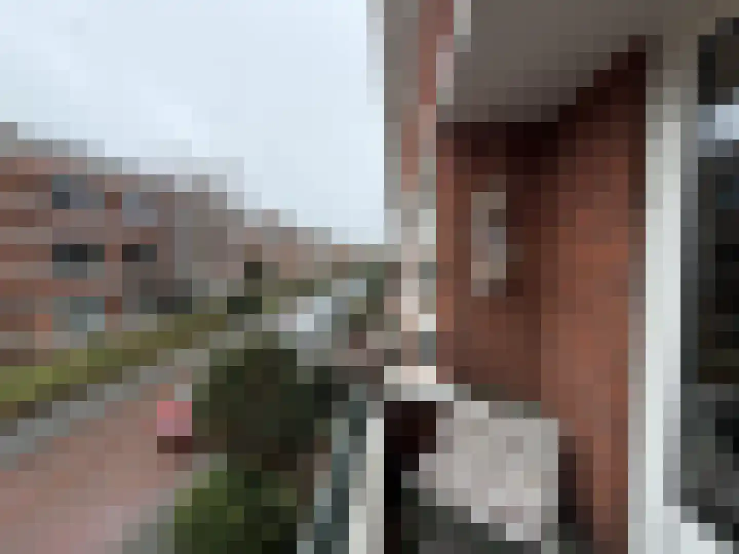 Van Neckstraat 108 Den Haag thumbnail 13