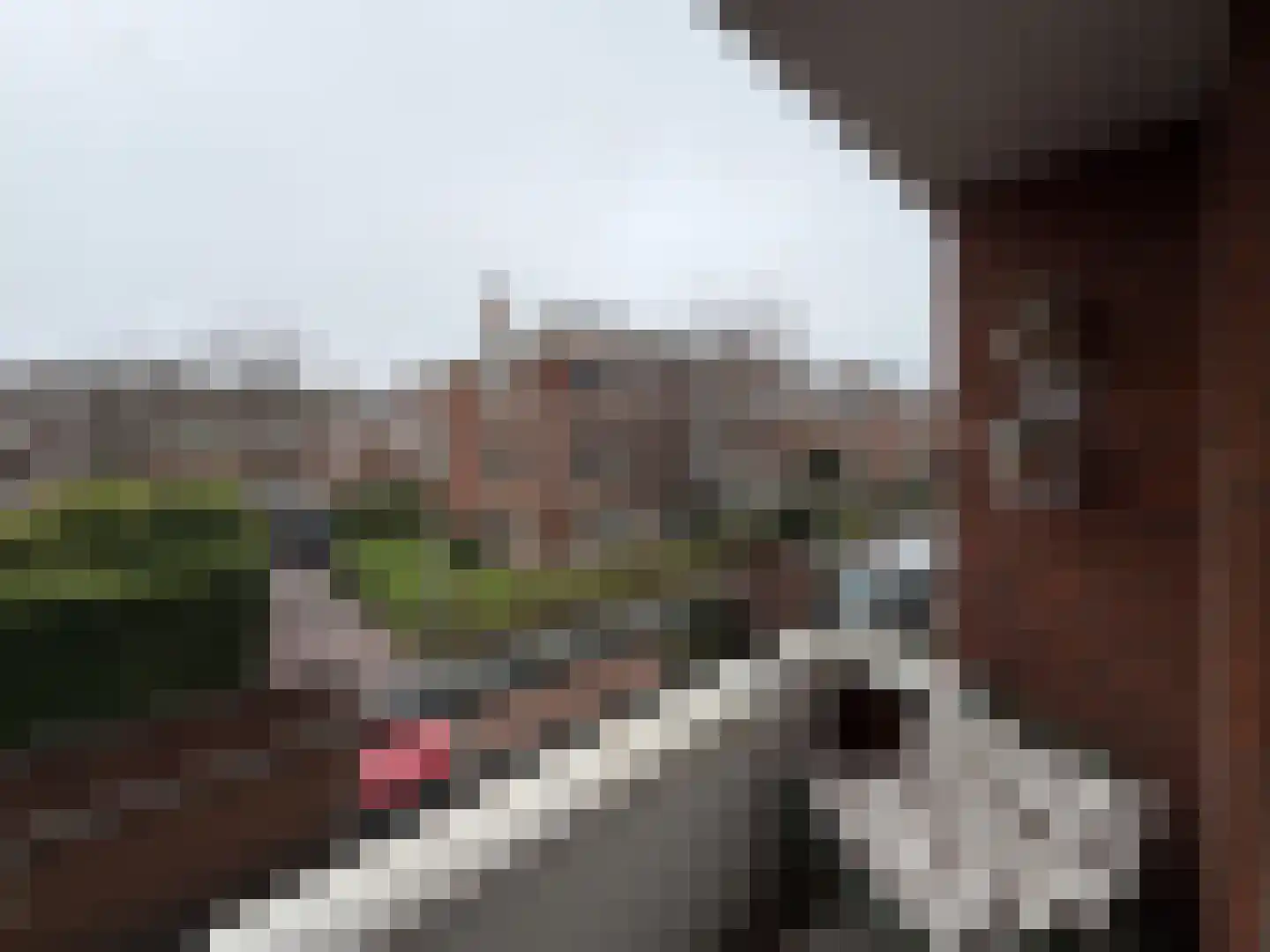 Van Neckstraat 108 Den Haag thumbnail 41