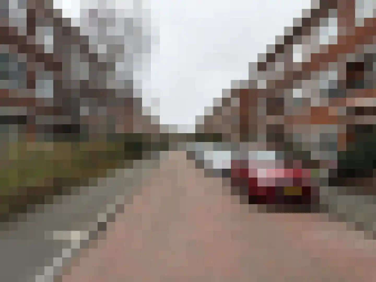 Van Neckstraat 108 Den Haag thumbnail 5