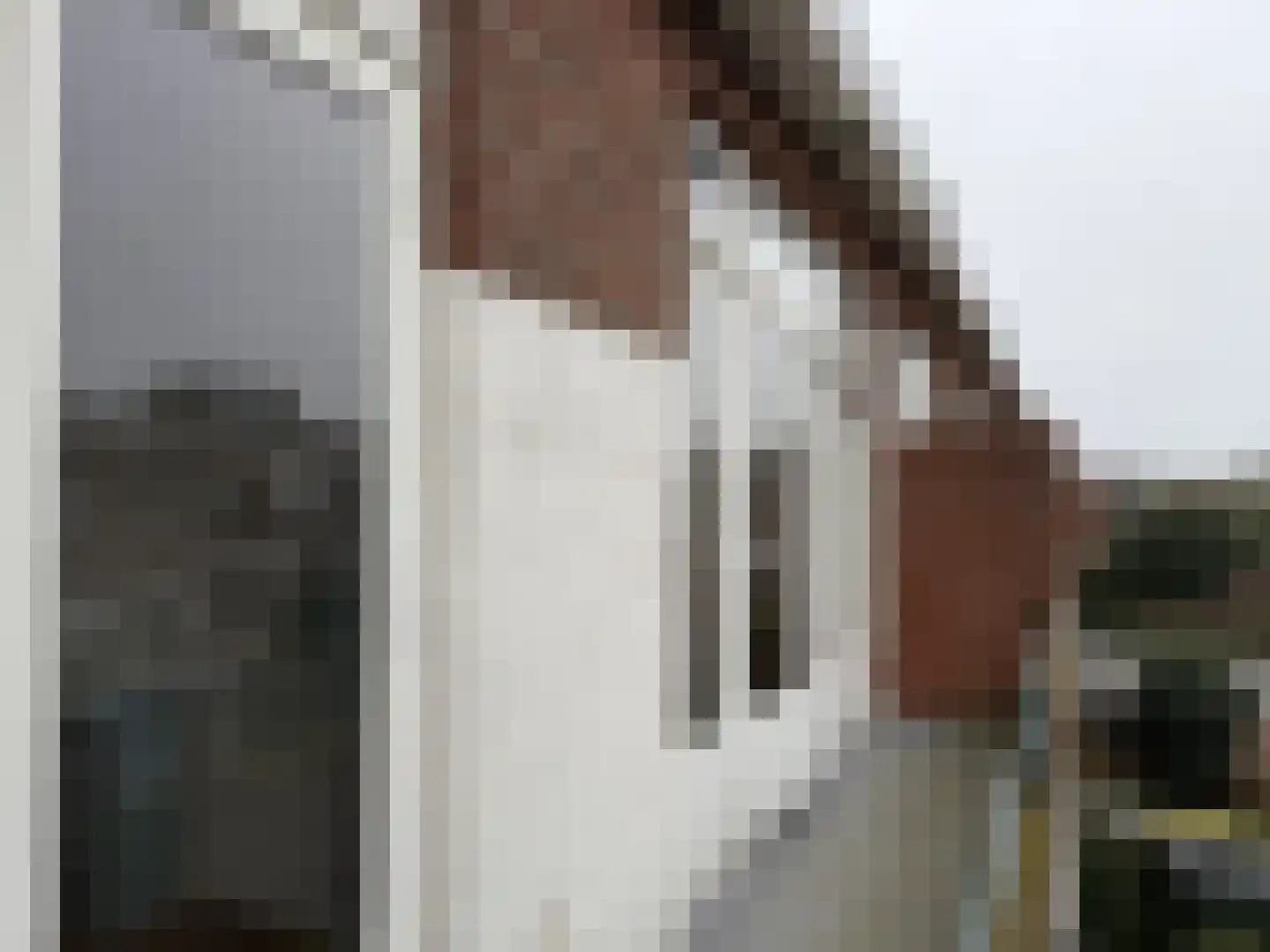 Van Neckstraat 108 Den Haag thumbnail 56