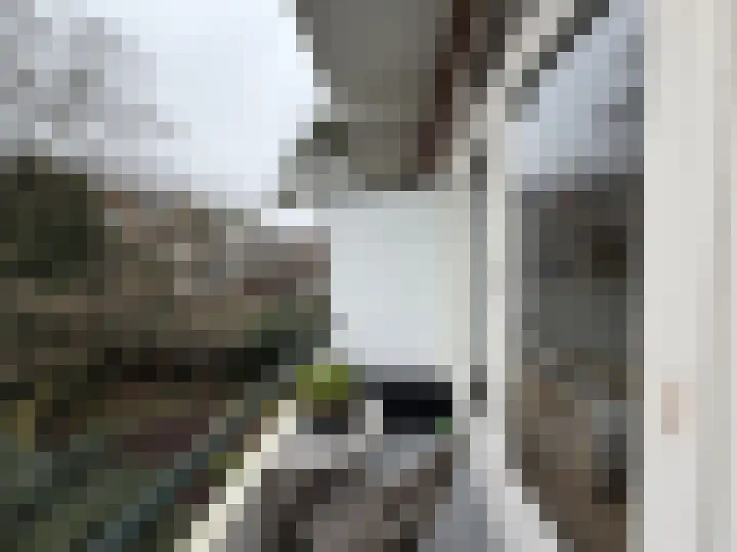 Van Neckstraat 108 Den Haag thumbnail 8