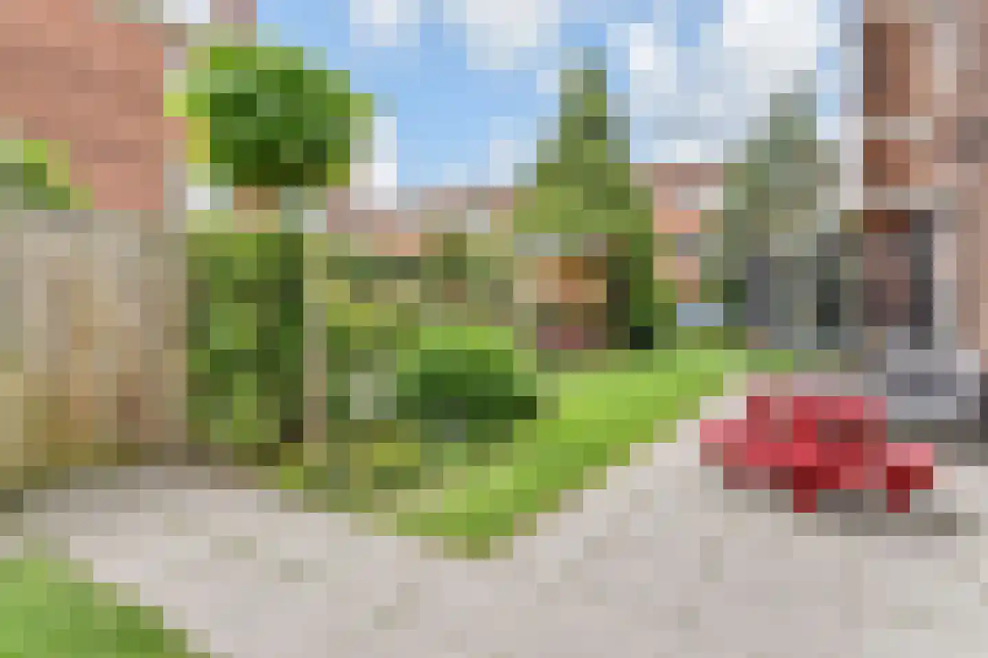 Van Neckstraat 125 Den Haag thumbnail 13