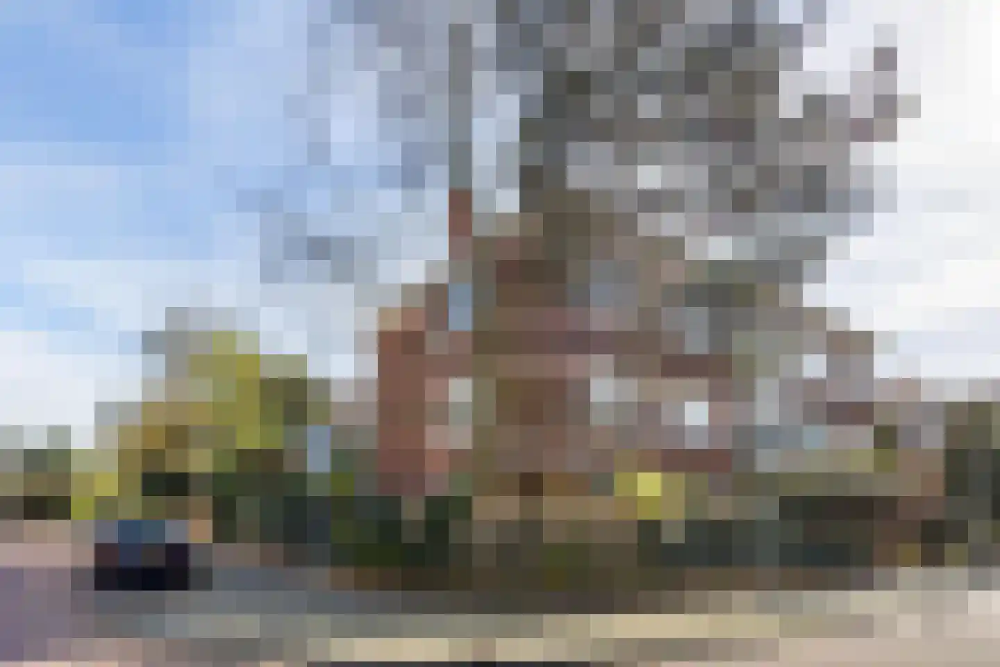 Van Neckstraat 135 Den Haag thumbnail 39