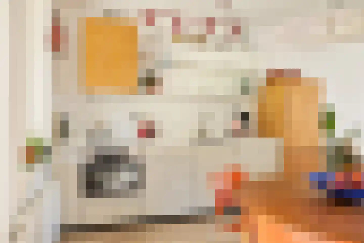Van Neckstraat 29 Amsterdam thumbnail 12