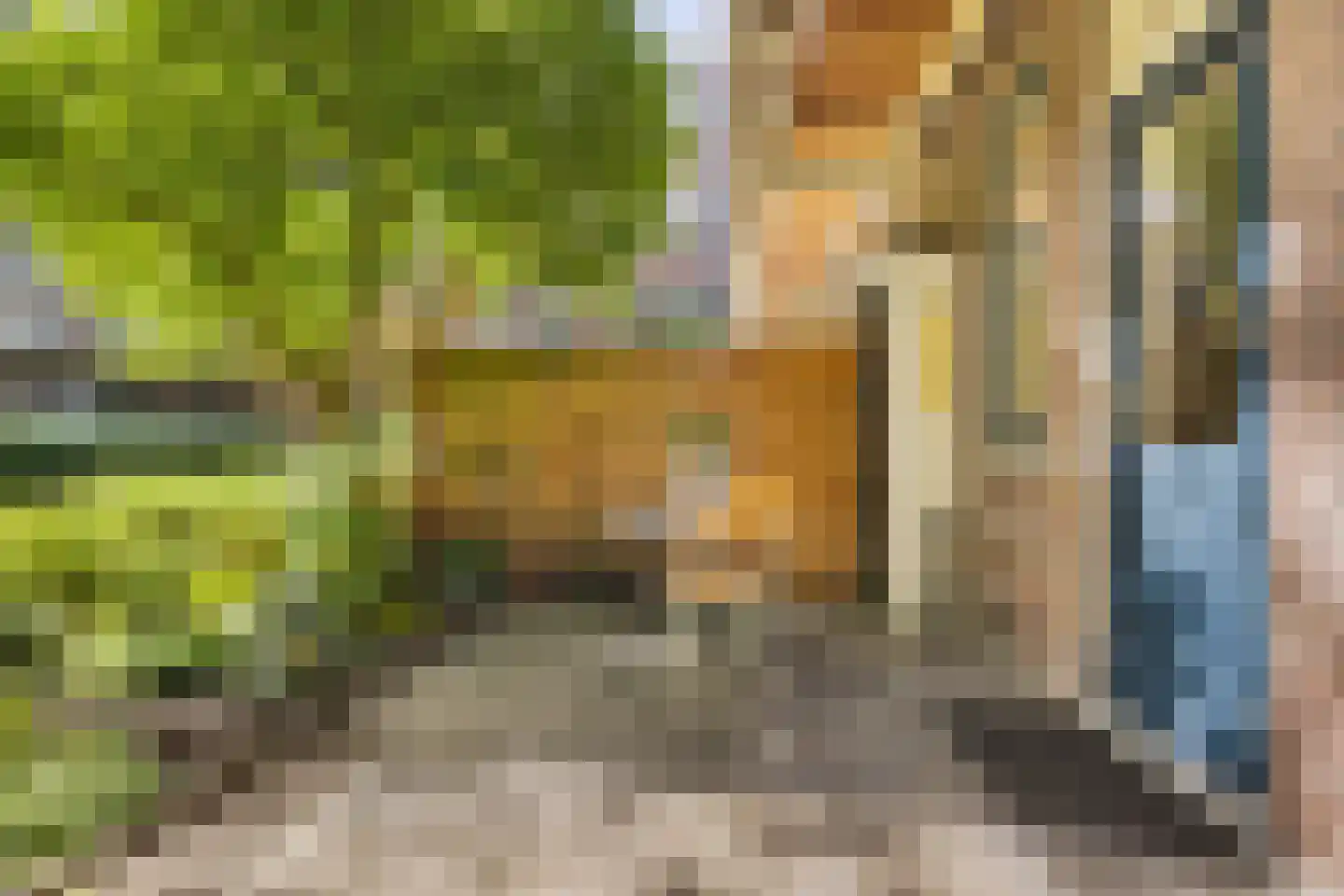 Van Neckstraat 29 Amsterdam thumbnail 28