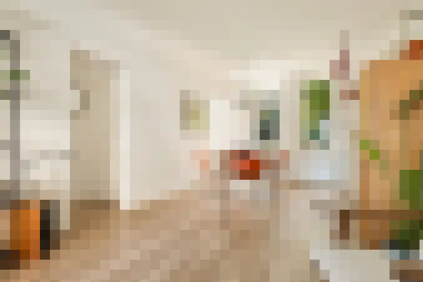 Van Neckstraat 29 Amsterdam thumbnail 9