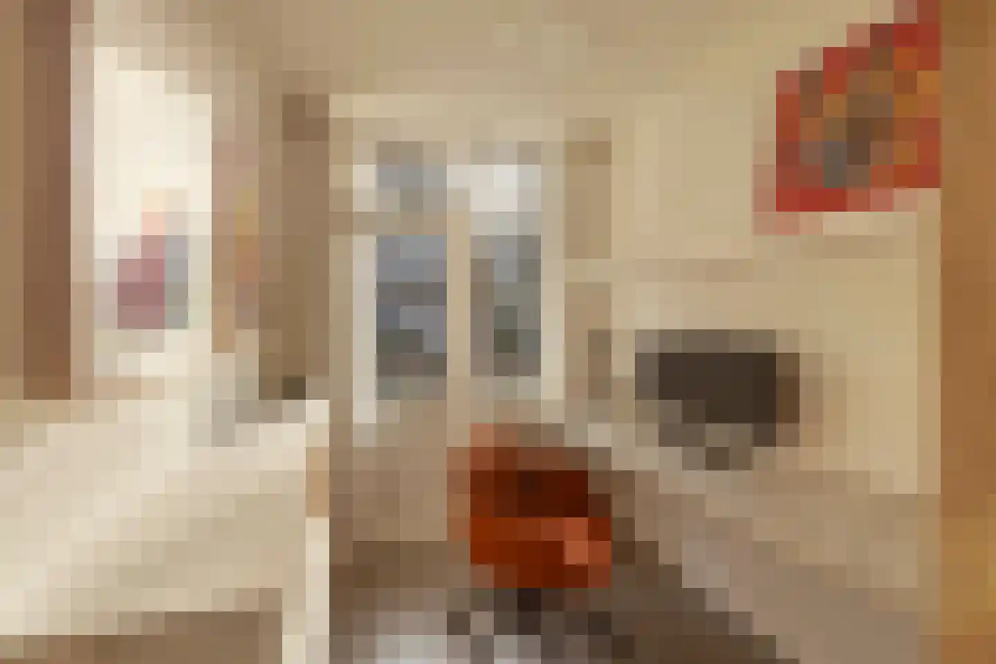 Van Neckstraat 33 Amsterdam thumbnail 17