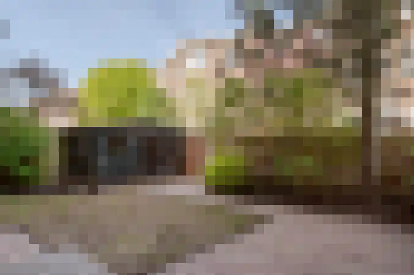 Van Neckstraat 36 Den Haag thumbnail 23