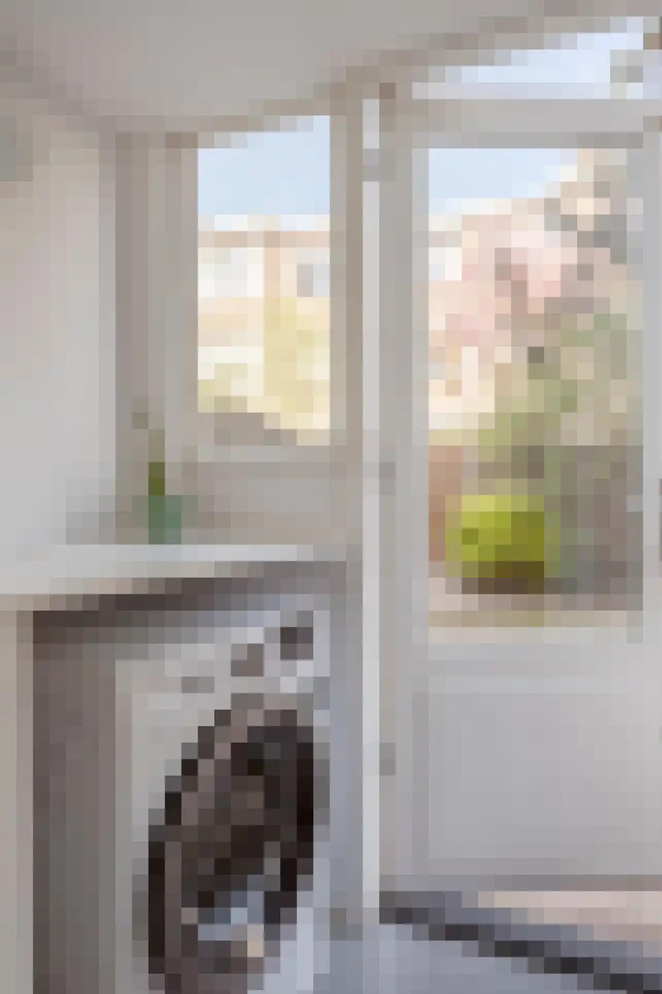 Van Neckstraat 36 Den Haag thumbnail 32