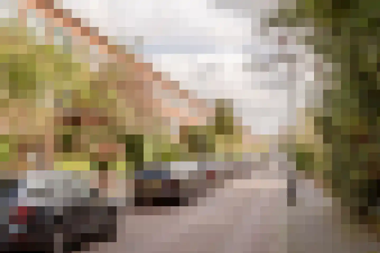 Van Neckstraat 36 Den Haag thumbnail 6