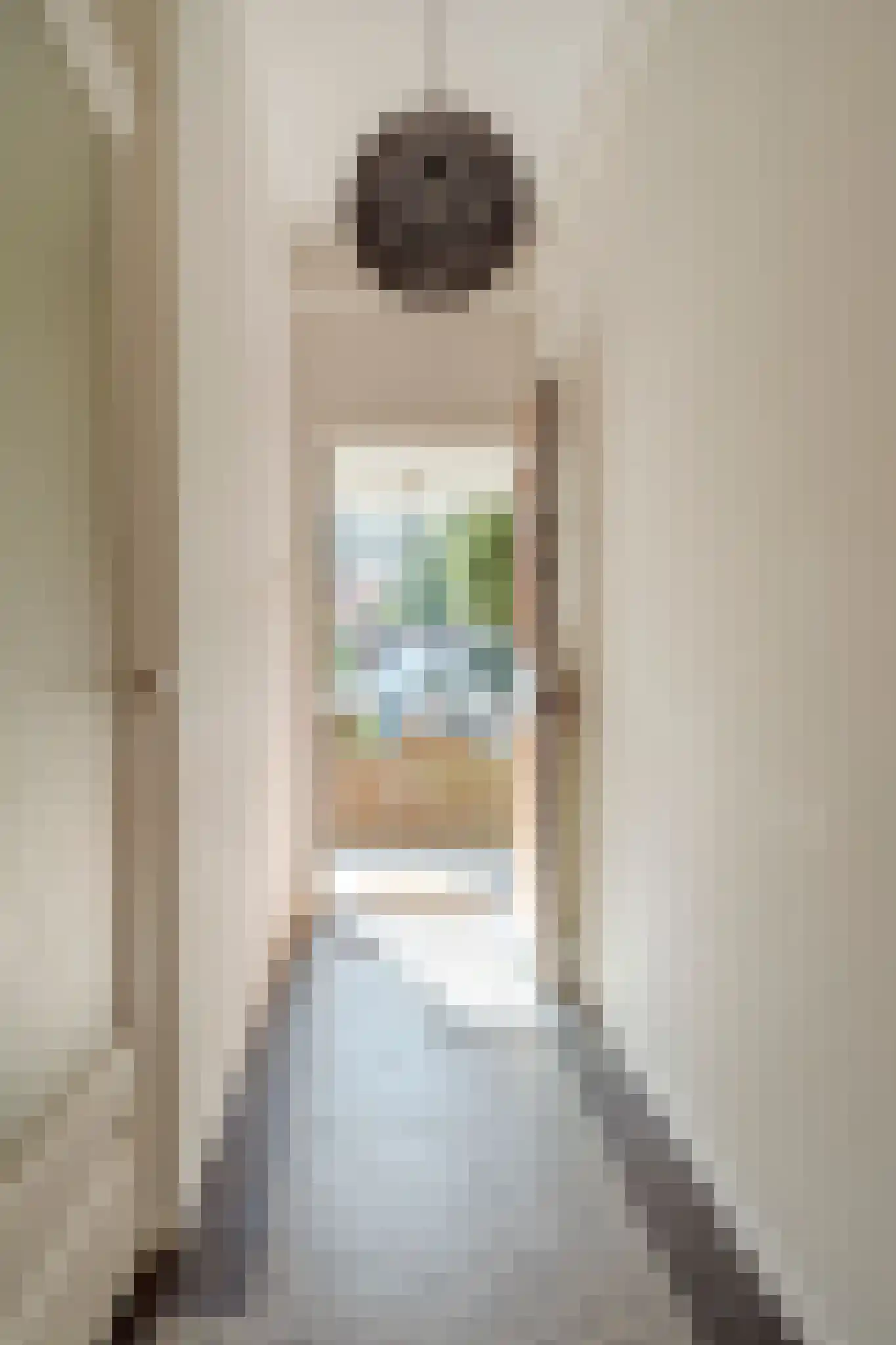 Van Neckstraat 36 Den Haag thumbnail 9