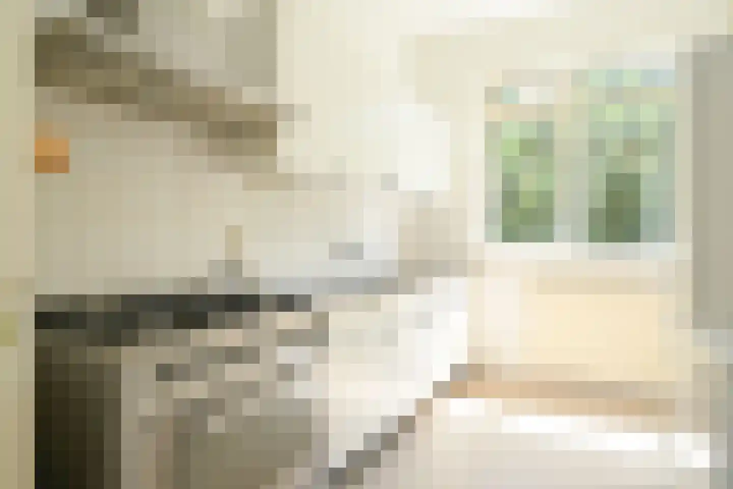Van Neckstraat 49 Den Haag thumbnail 13