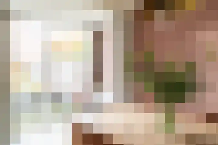 Van Nederveenpad 20 Hardinxveld-Giessendam thumbnail 12