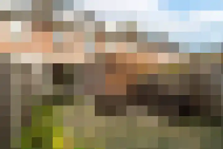 Van Nederveenpad 20 Hardinxveld-Giessendam thumbnail 28