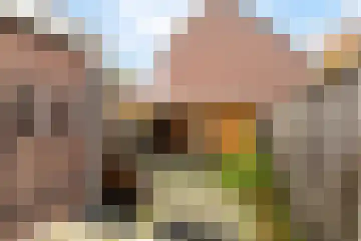 Van Nederveenpad 20 Hardinxveld-Giessendam thumbnail 30