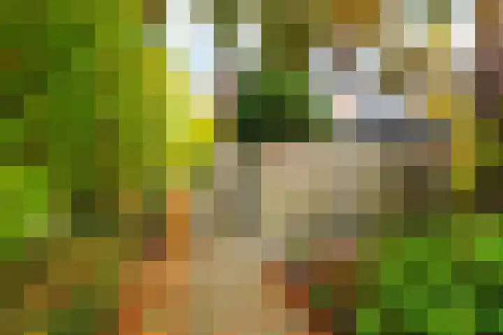 Van Nederveenpad 20 Hardinxveld-Giessendam thumbnail 32