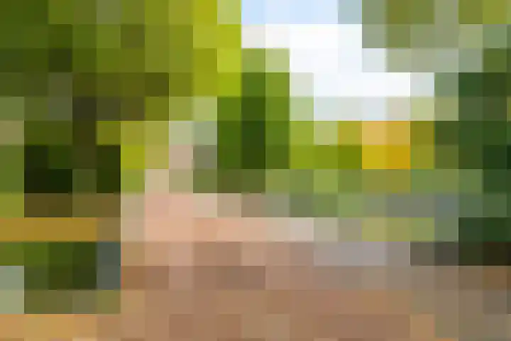 Van Nederveenpad 20 Hardinxveld-Giessendam thumbnail 33