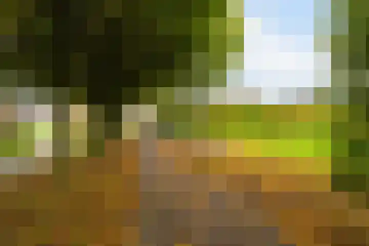 Van Nederveenpad 20 Hardinxveld-Giessendam thumbnail 34
