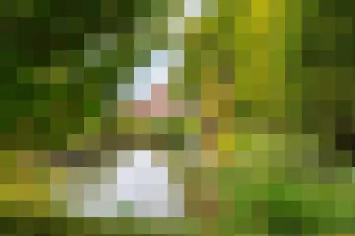 Van Nederveenpad 20 Hardinxveld-Giessendam thumbnail 35