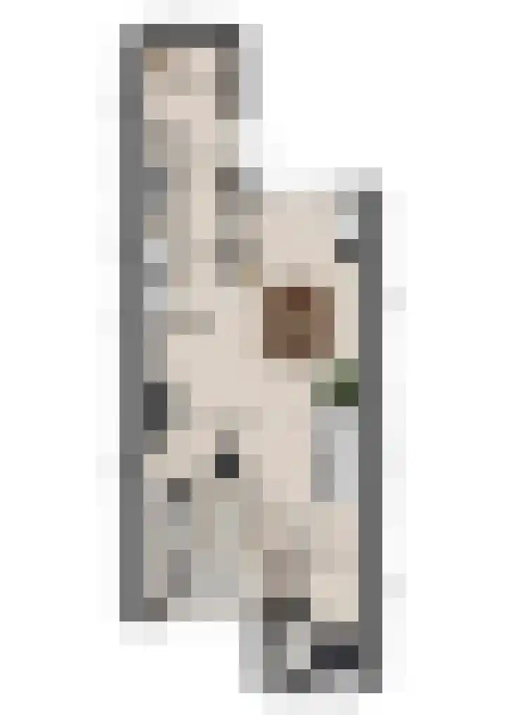 Van Nederveenpad 20 Hardinxveld-Giessendam thumbnail 37