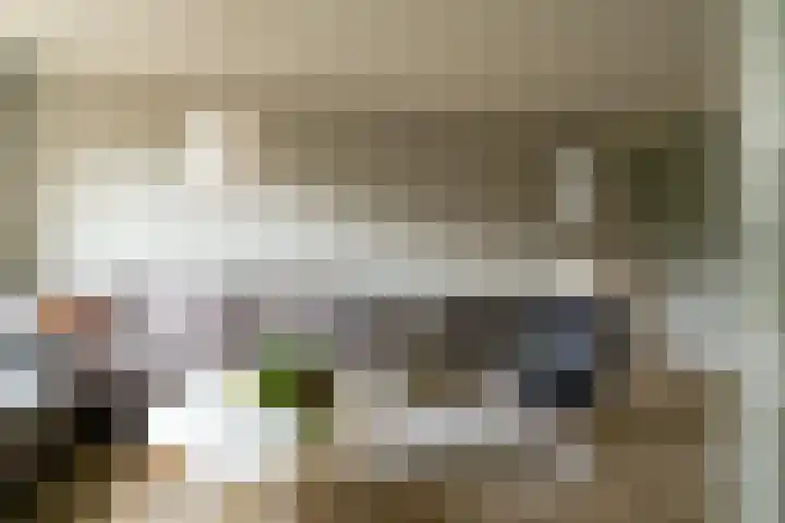Van Nederveenpad 20 Hardinxveld-Giessendam thumbnail 8