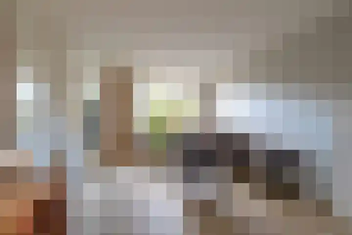 Van Nederveenpad 20 Hardinxveld-Giessendam thumbnail 9