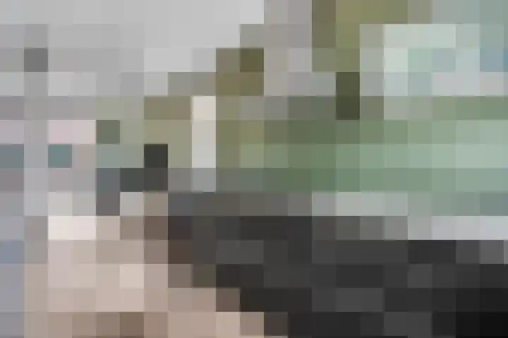 Van Neslaan 10 Ede thumbnail 10