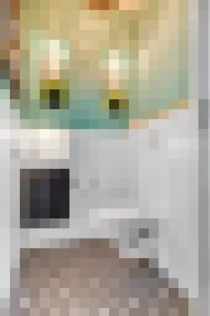 Van Neslaan 10 Ede thumbnail 15