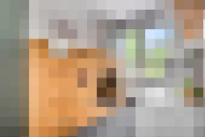 Van Neslaan 10 Ede thumbnail 21