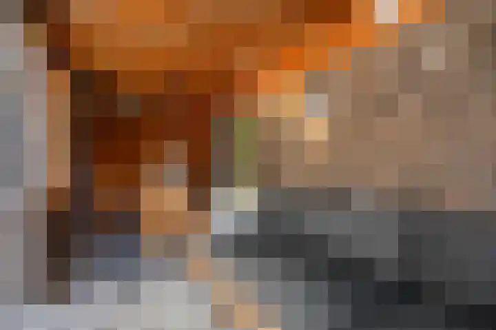Van Neslaan 10 Ede thumbnail 36