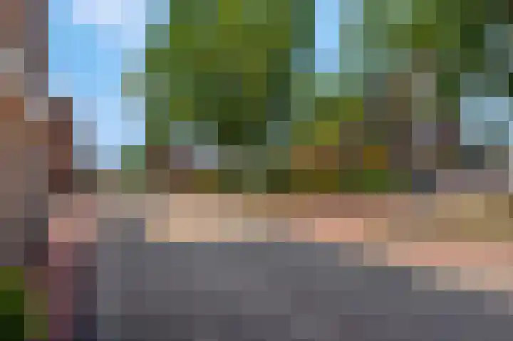Van Neslaan 10 Ede thumbnail 44