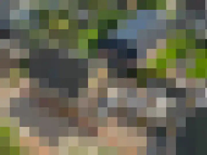 Van Neslaan 10 Ede thumbnail 45