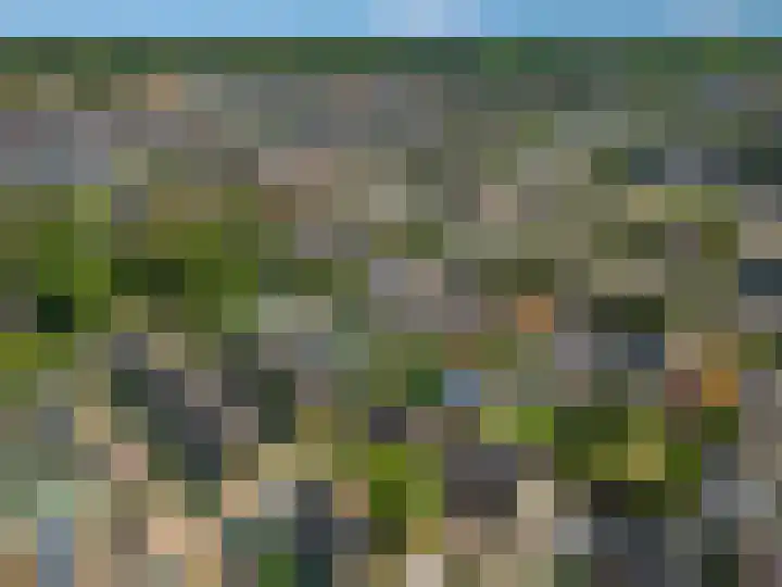 Van Neslaan 10 Ede thumbnail 48